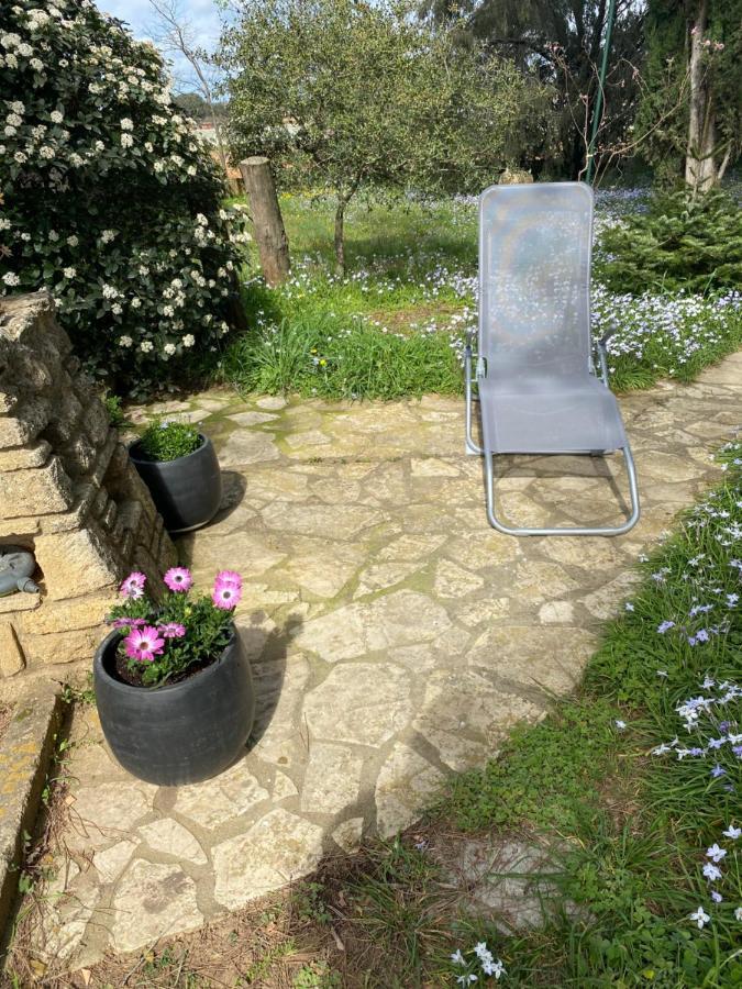 Studio Havre De Paix Au Pont Du Gard Piscine Et Jacuzzi Chez Valerie Payre Vers-Pont-du-Gard Exteriör bild